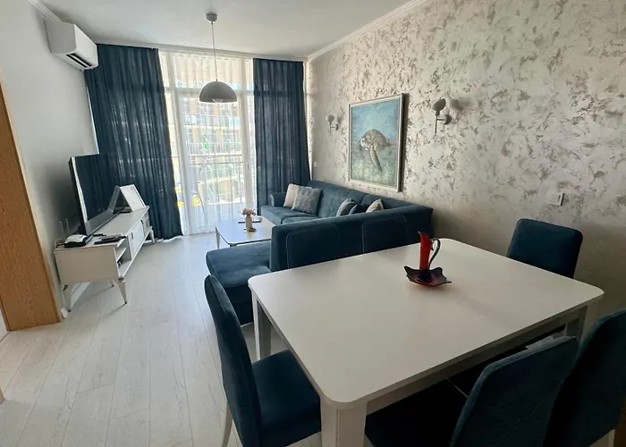 Turtle Sunny ساني بيتش