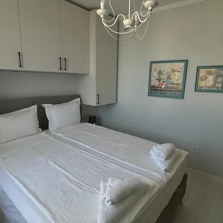 Turtle Sunny Słoneczny Brzeg