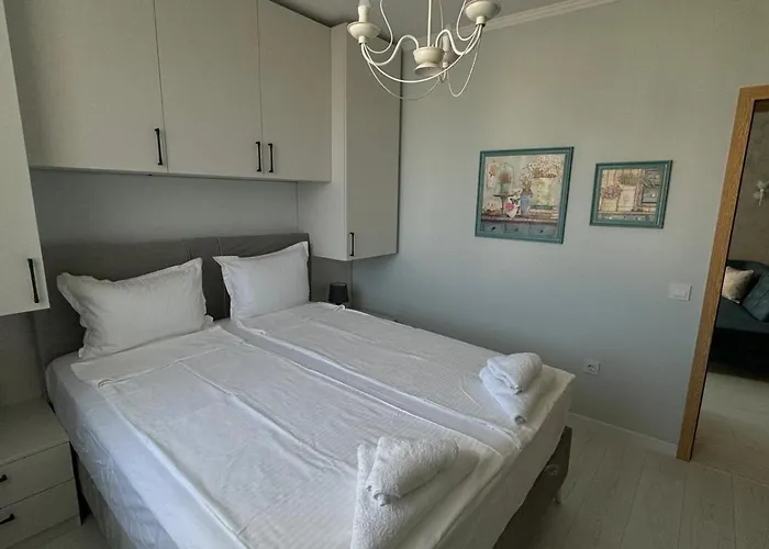 Turtle Sunny サニービーチ